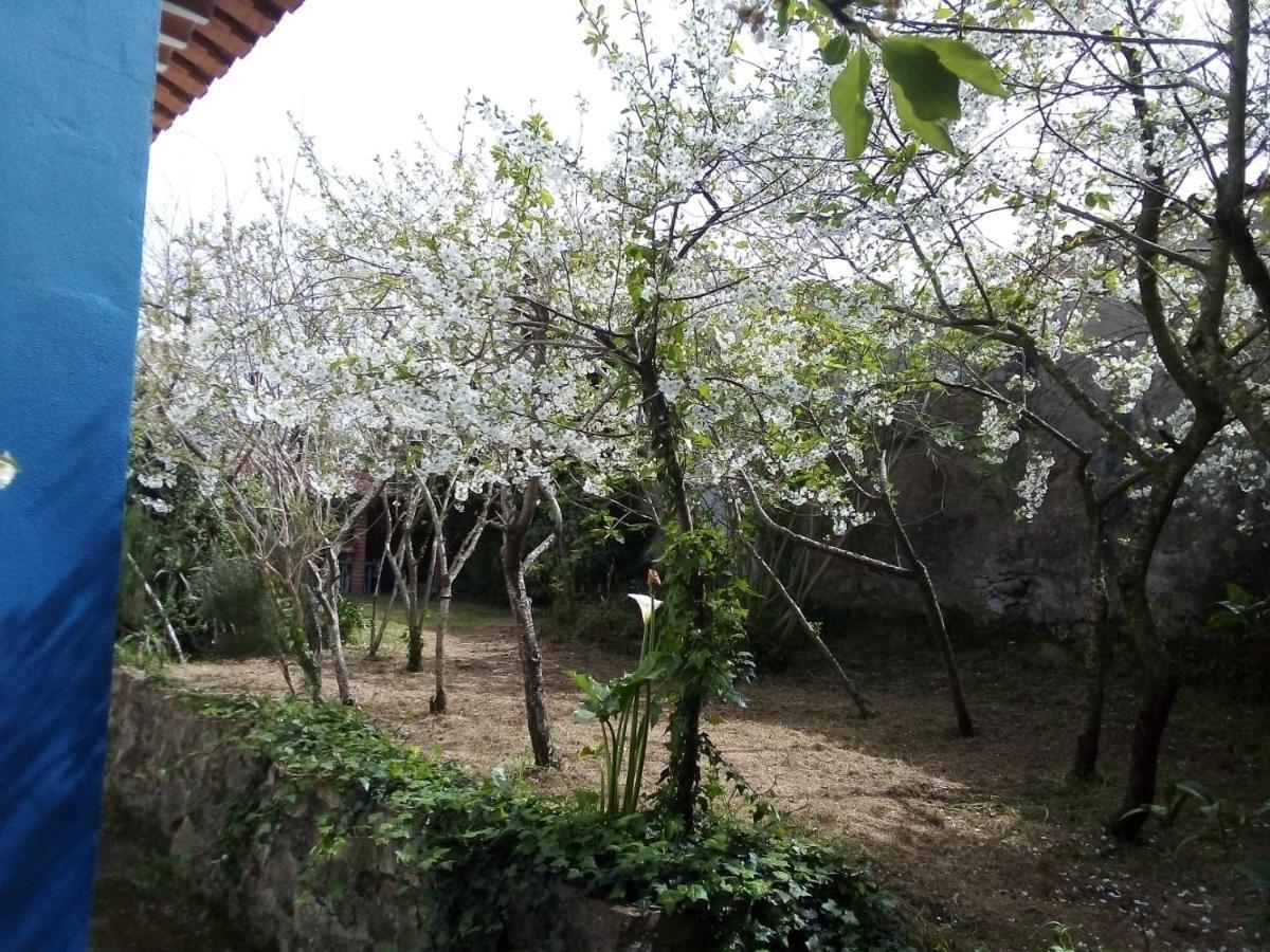 Casas Altas Obidos - Al Villa Sobral  Exterior photo